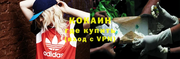 стаф Арсеньев
