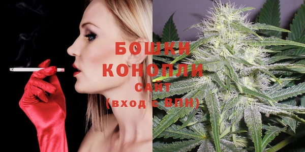 стаф Арсеньев