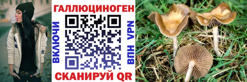 Псилоцибиновые грибы прущие грибы  Калач-на-Дону 