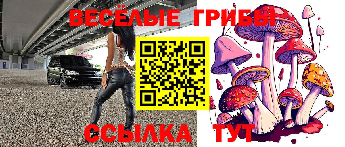 Псилоцибиновые грибы Psilocybine cubensis Калач-на-Дону