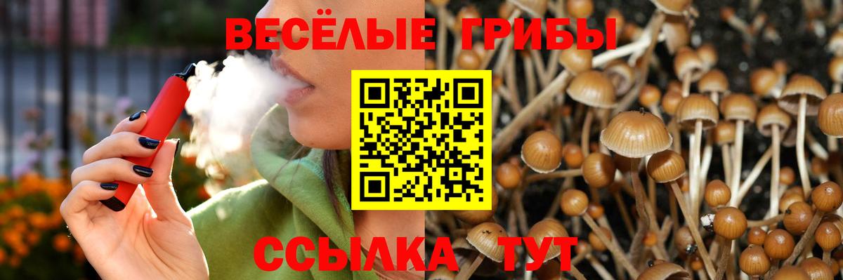 наркотики  Псилоцибиновые грибы Magic Shrooms  Вход с VPN  Калач-на-Дону 
